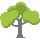 Prescott Tree Removal