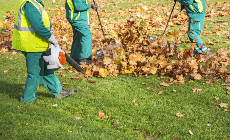 Leaf Blowing