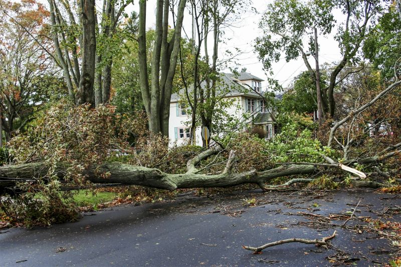 Debris Removal